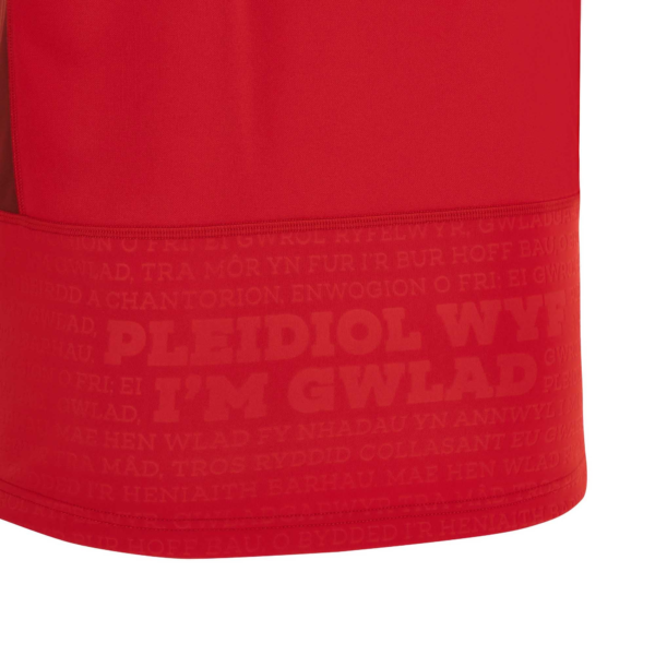 Wales Home RCW 2023 - Image 2