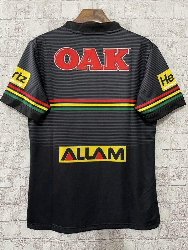 Panthers Home 2024 - Image 2