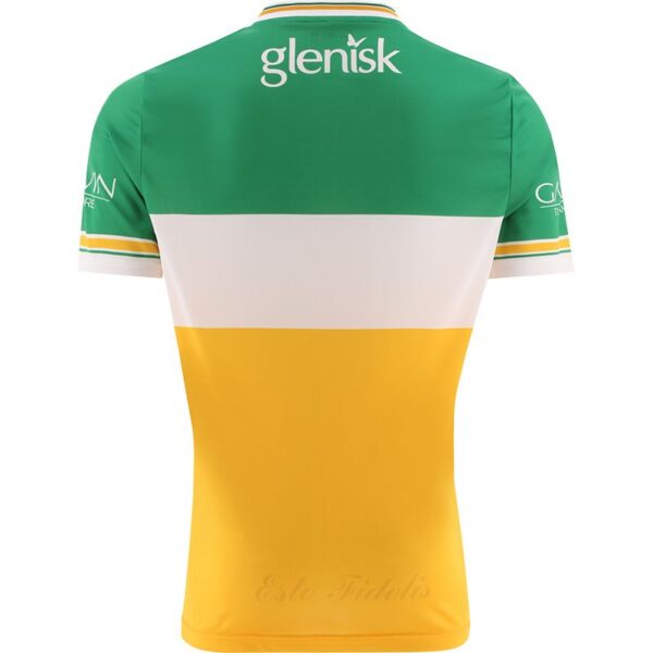 Offaly Home 2024 - Image 2