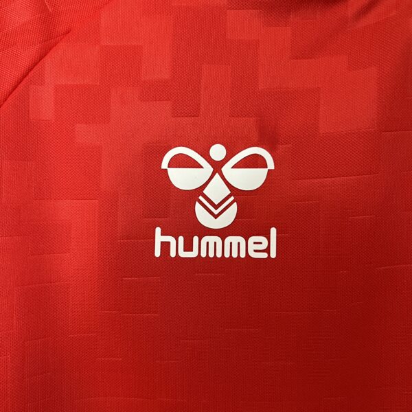Denmark Home EURO24 - Image 6