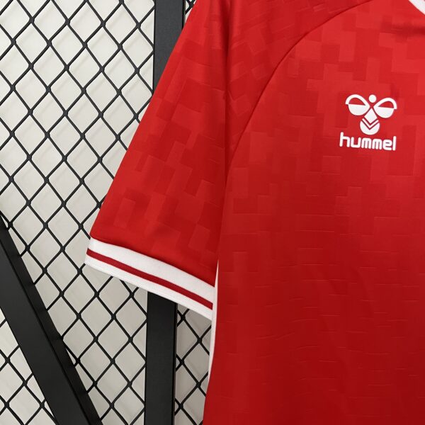 Denmark Home EURO24 - Image 10