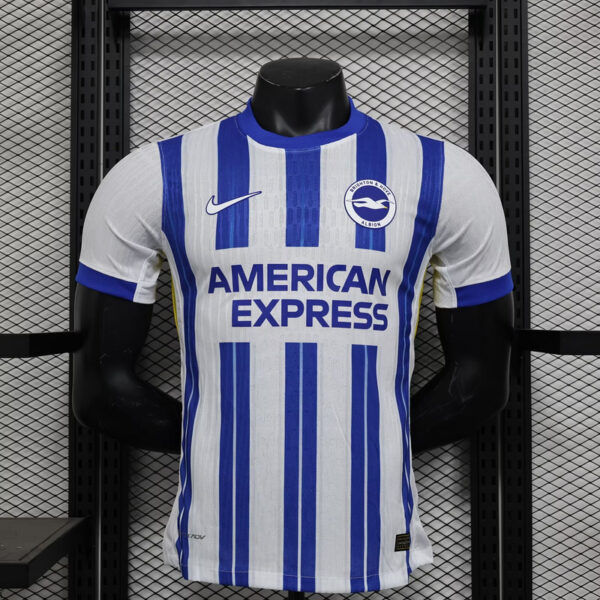 Brighton Home 24/25 - Player Version